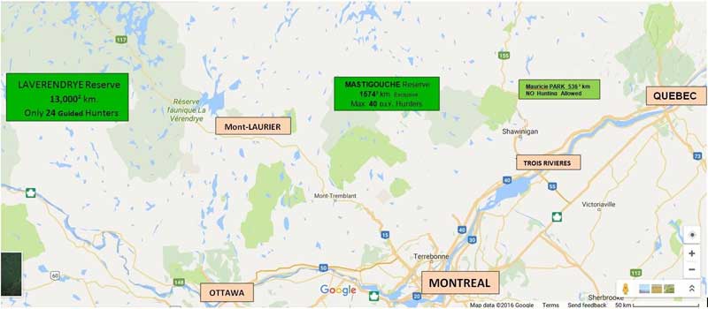 Quebec bear hunting Outfitter, Canada bear hunting guide