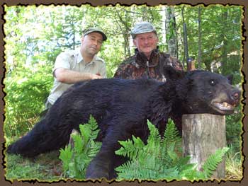 Bear hunts, Quebec bear hunting guides, bear hunting in Canada with Claude Turcotte Big Bear Hunts 