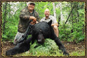 Bear hunts, Quebec bear hunting guides, bear hunting in Canada with Claude Turcotte Big Bear Hunts 