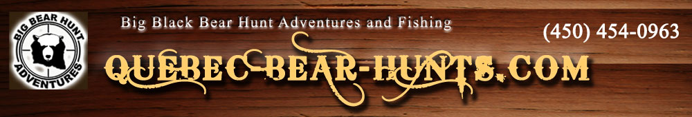 bear hunts, quebec bear hunts, bear hunting, bear hunting quebec, big bear hunts claude turcotte