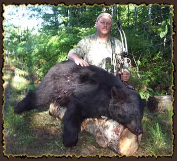 Bear hunts, Bear Hunting Guides in Quebec, Canada Big bear hunt, Claude Turcotte
